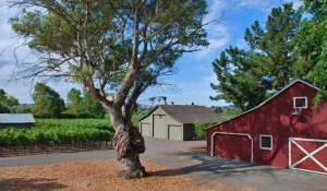 Two Barns