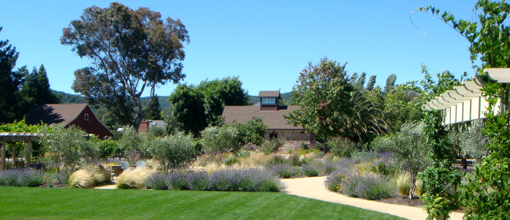 Stone Barn Farm Historic Farm Vineyard And Olive Orchard In